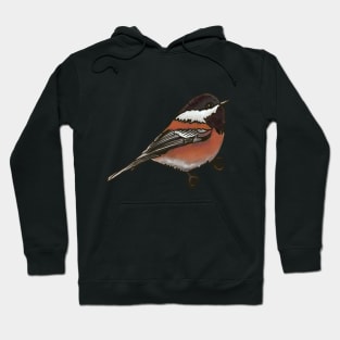 Chestnut-backed Chickadee Hoodie